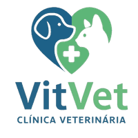 Vit Vet São Carlos